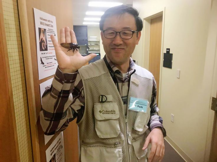 Dr. Park holds an insect